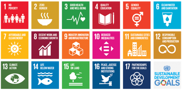 Agenda 2030 per lo sviluppo sostenibile, i 17 obiettivi dell'ONU